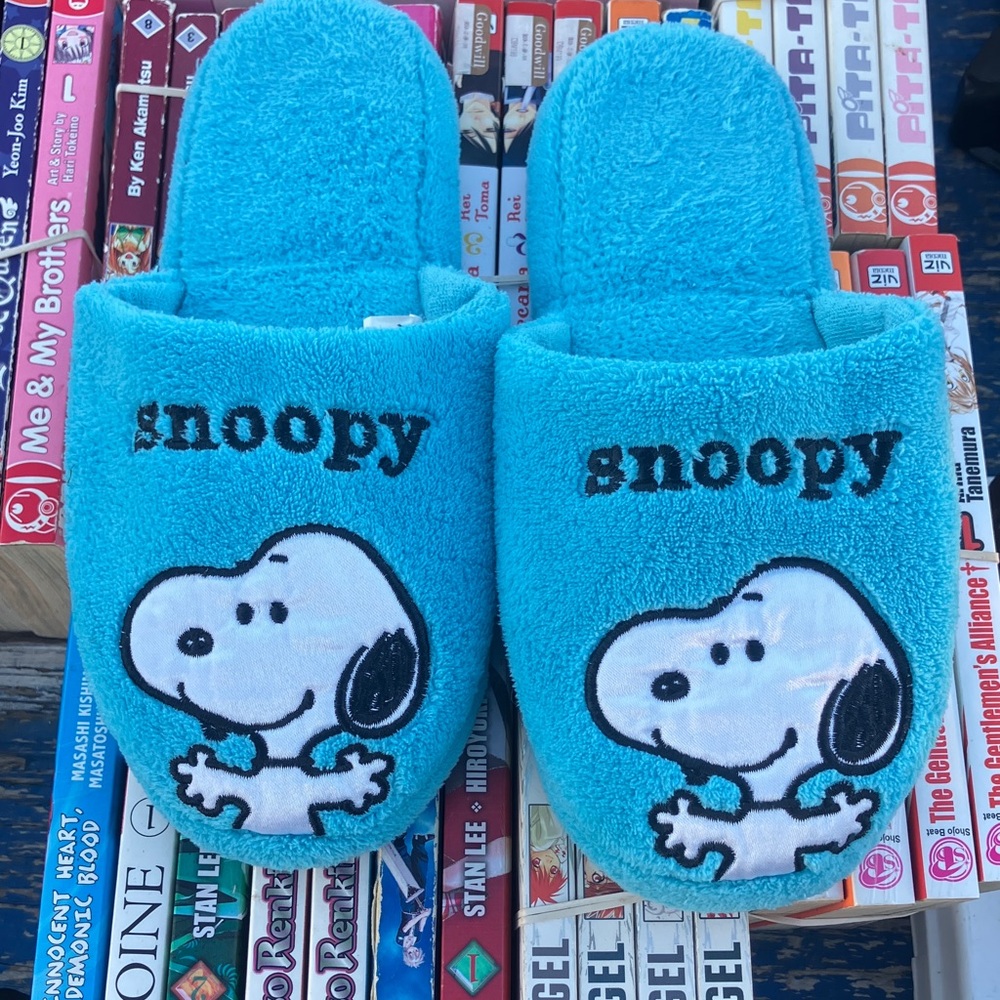 Snoopy Blue Slippers